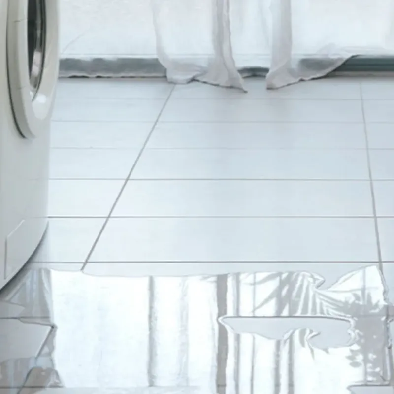 Appliance Leak Cleanup in Franklin, GA