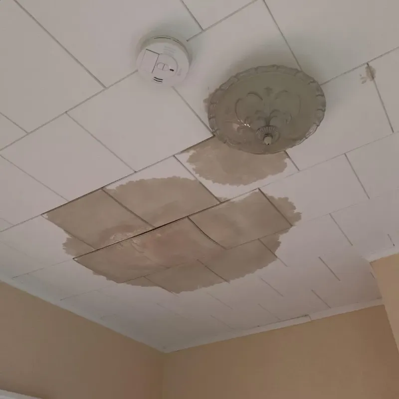 Ceiling Water Damage Repair in Franklin, GA