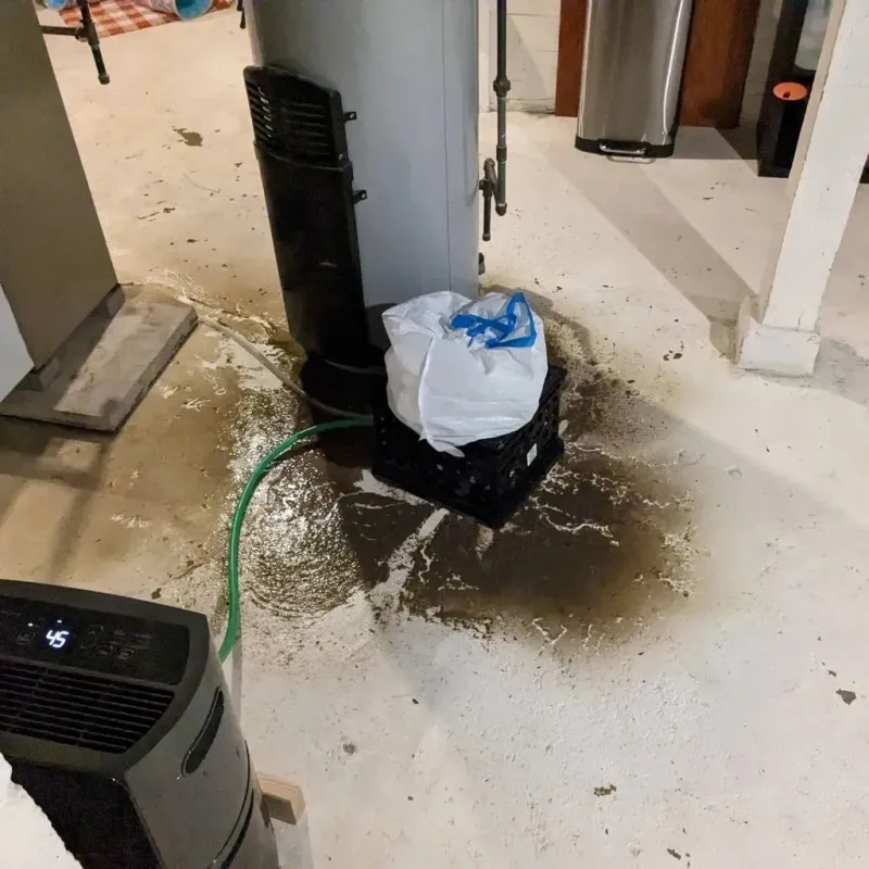 Sewage Backup Cleanup Service in Franklin, GA